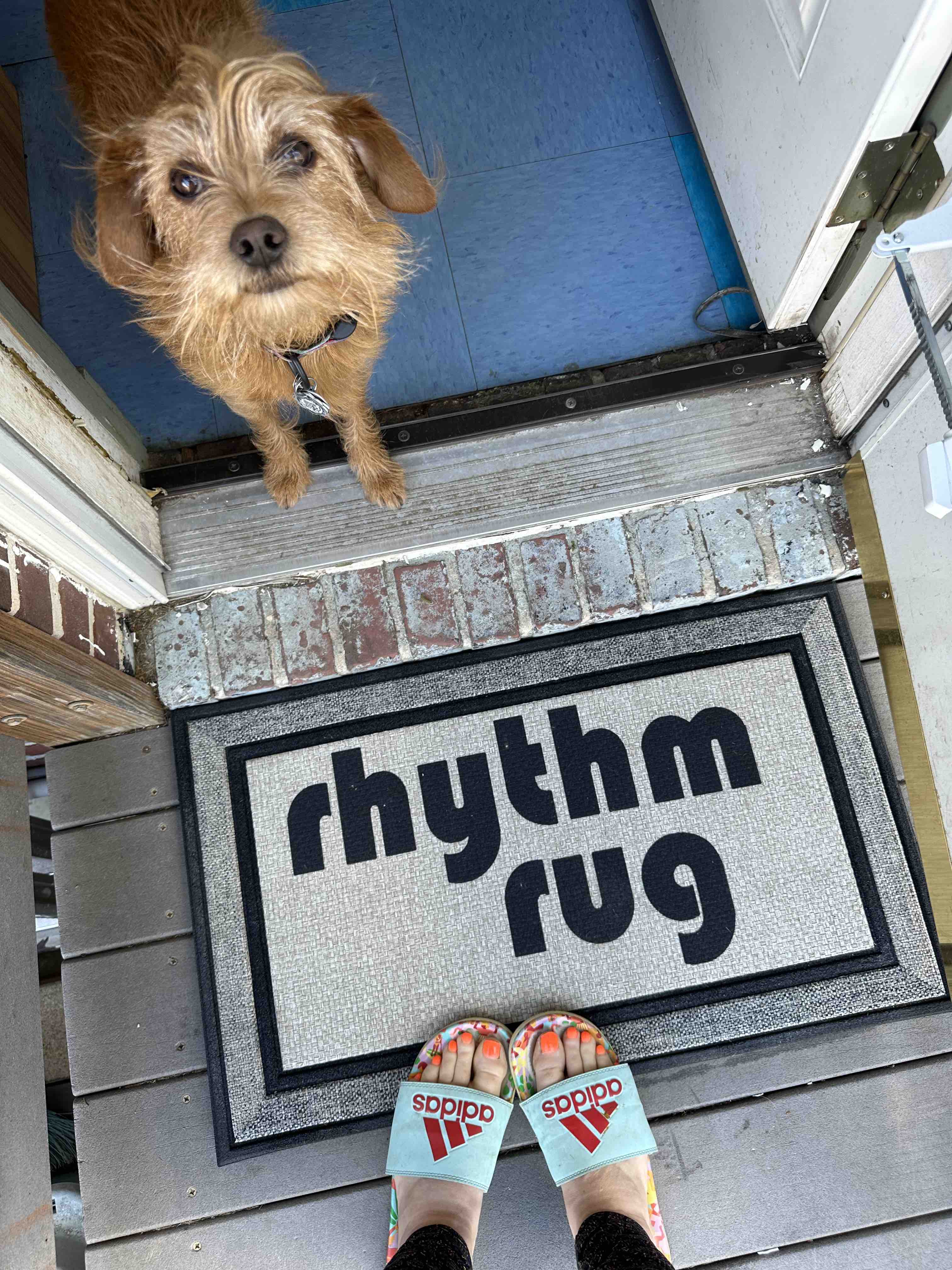 all weather rhythm rug doormat with a cute terrier dog