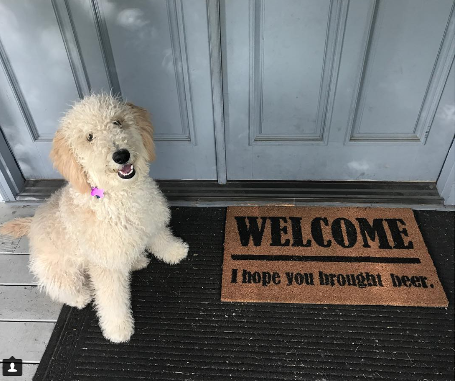 A funny doormat outside a new apartment door on moving day, doodle dog at the door