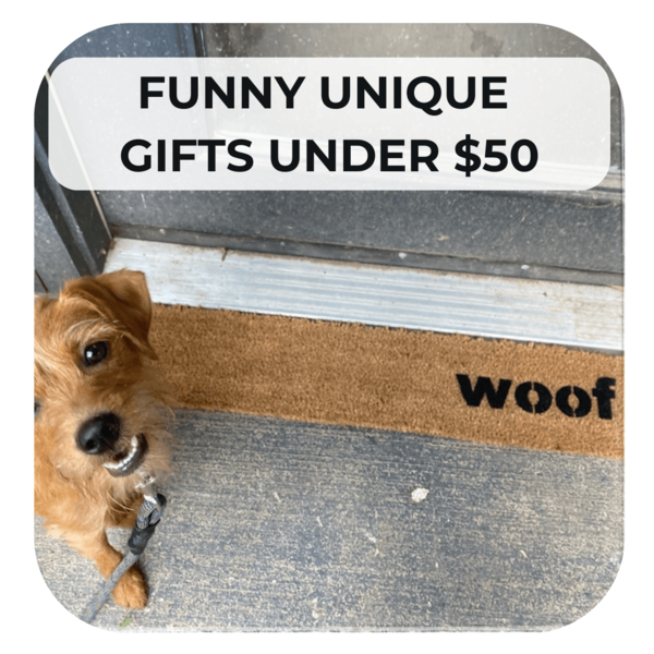 Funny Unique Gifts Under $50