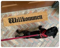 Willkimmen German welcome skinny doormat