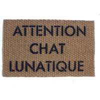 Attention Chien Bizarre French crazy dog doormat