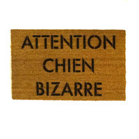 Attention Chat Lunatique French Crazy Cat doormat