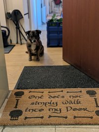 WALK into MORDOR, funny JRR Tolkien nerd doormat