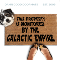 This Property Monitored by the Galactic Empire Doormat with cute terrier dog looking up and a woman in black flats with gold stars on the toes