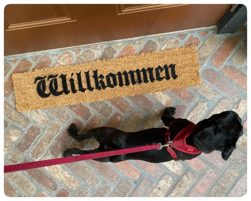Willkimmen German welcome skinny doormat