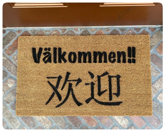 CHINESE & Swedish bilingual Scandanavian decor  welcome doormat