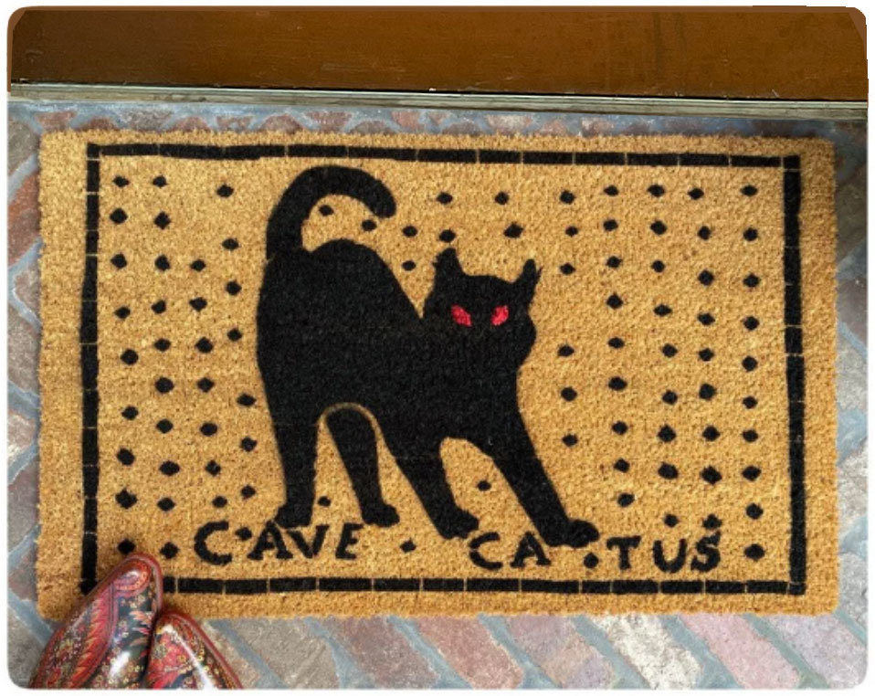 outdoor coir doormat reading cave catus roman pomeii latin mosaic beware of cat