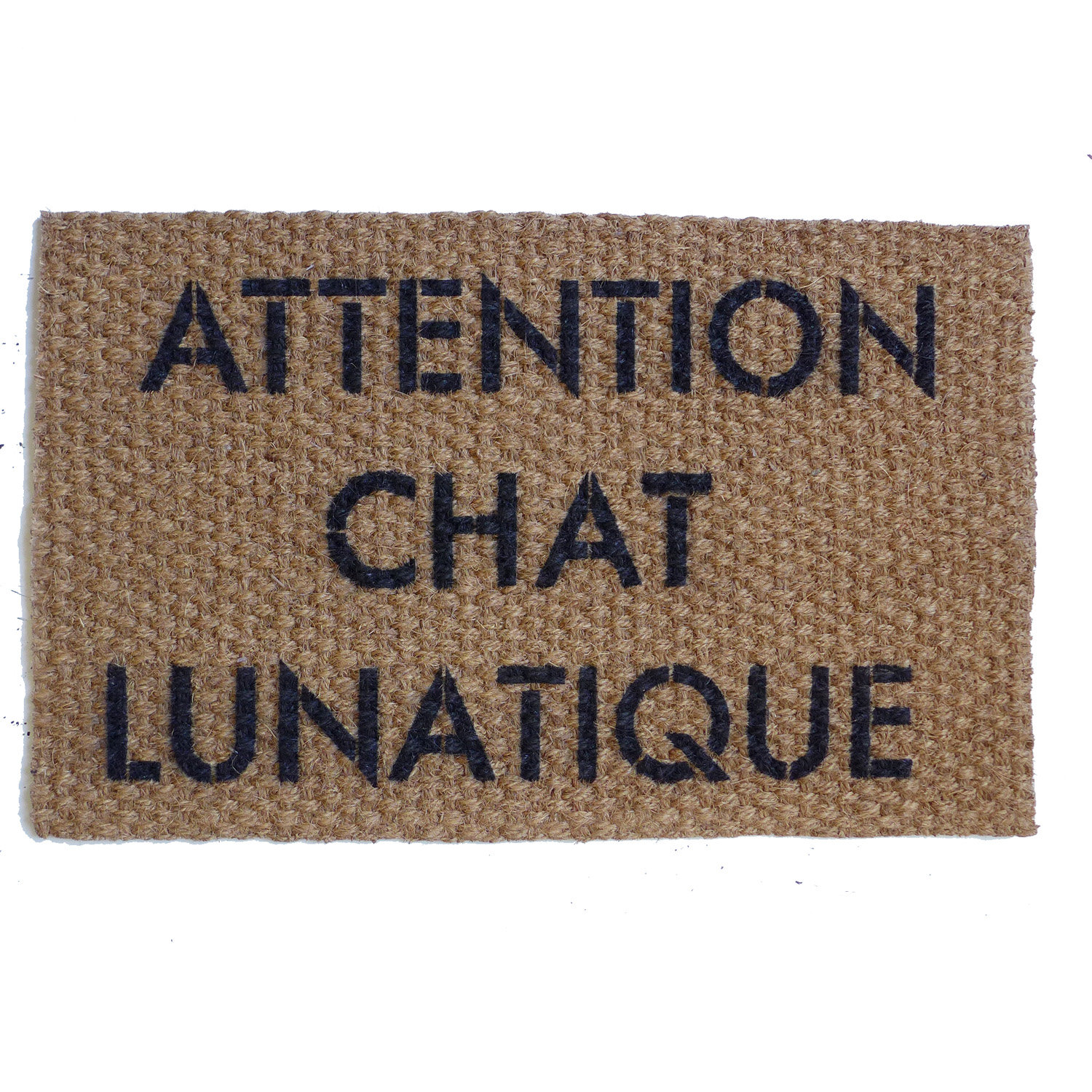 Attention Chien Bizarre French crazy dog doormat