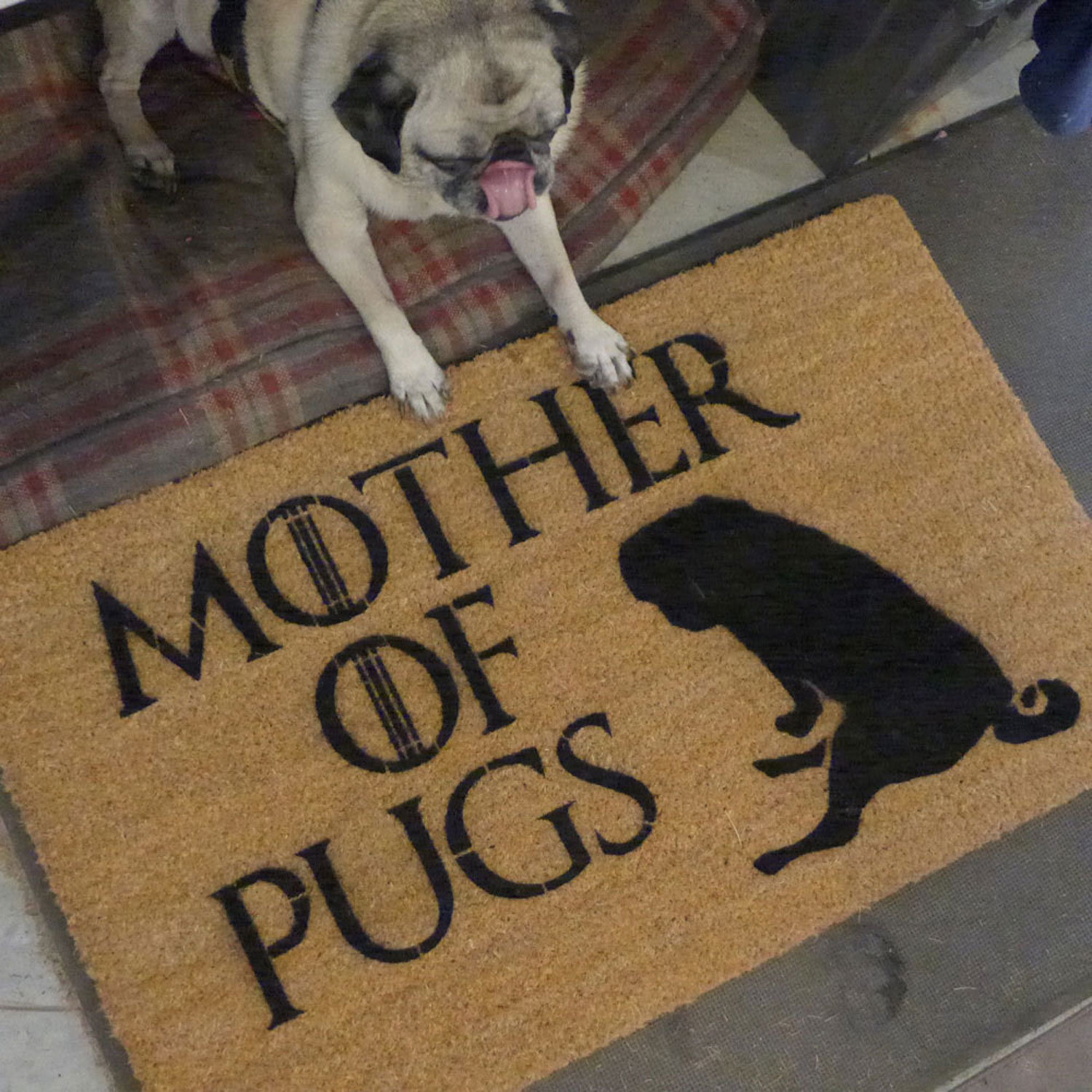Mother of PUGS | Game of Thrones dog doormat