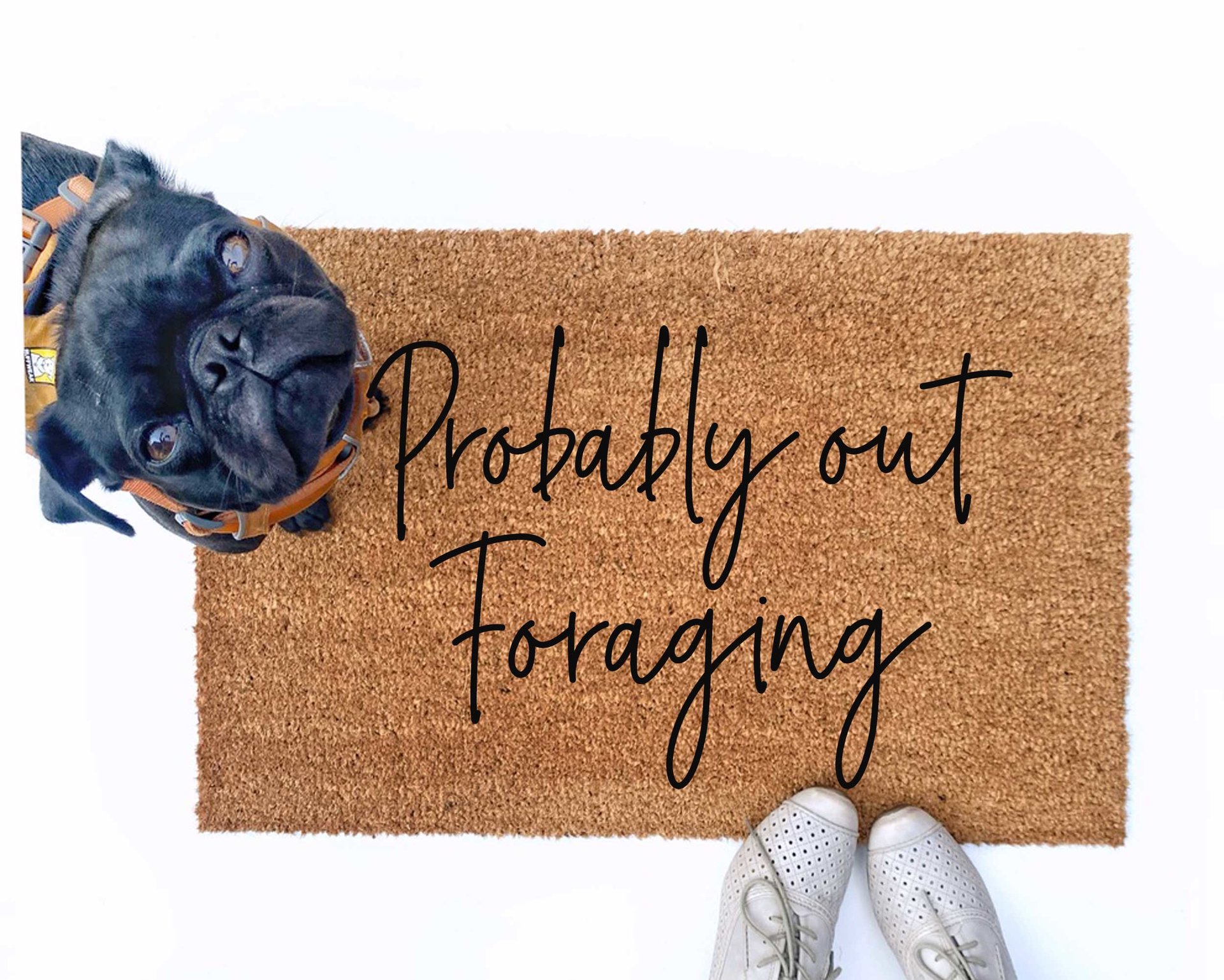 Probably out Foraging doormat pictured with a black pug