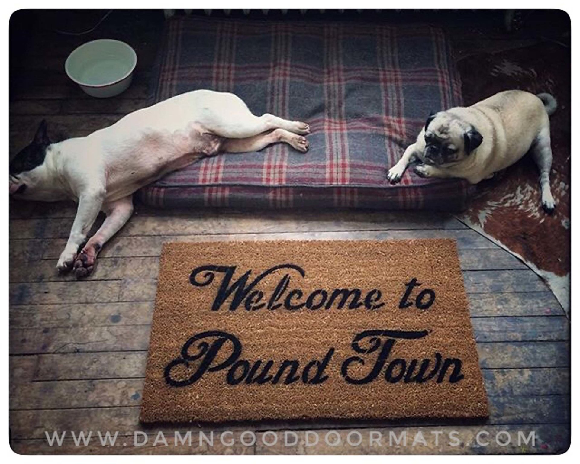 Welcome to Pound Town sex time funny rude outdoor mature