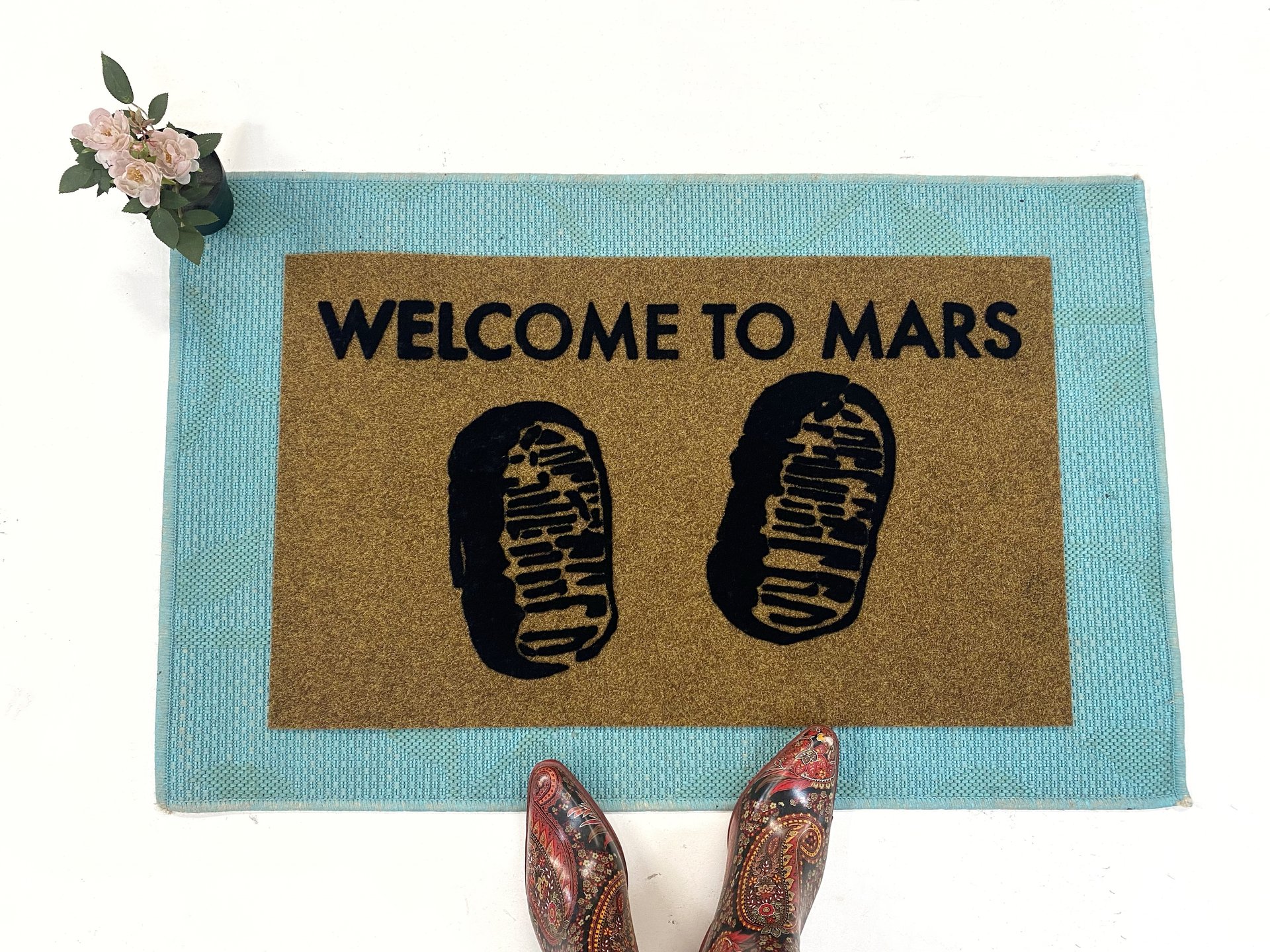 Welcome to Mars space X doormat