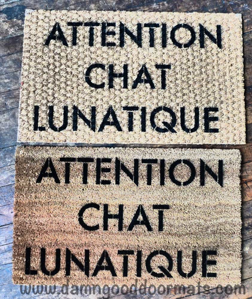 Warning: A Crazy CAT lady lives here funny doormat