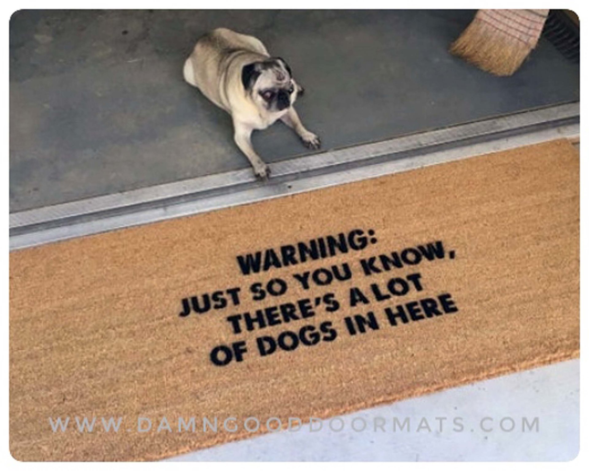 DOGS Warning: Just so you know, there's a lot of dogs in here™